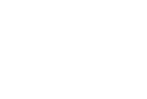 Subterrestrials Records logo